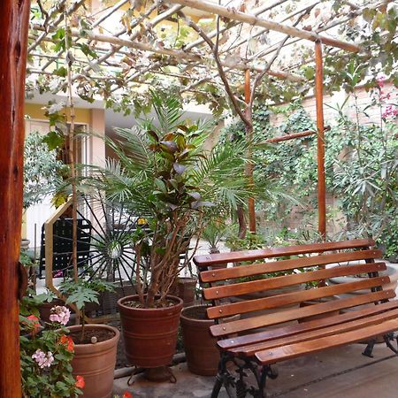 Hostal Tambo Colorado Pisco Ngoại thất bức ảnh